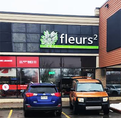 FLEURS 2